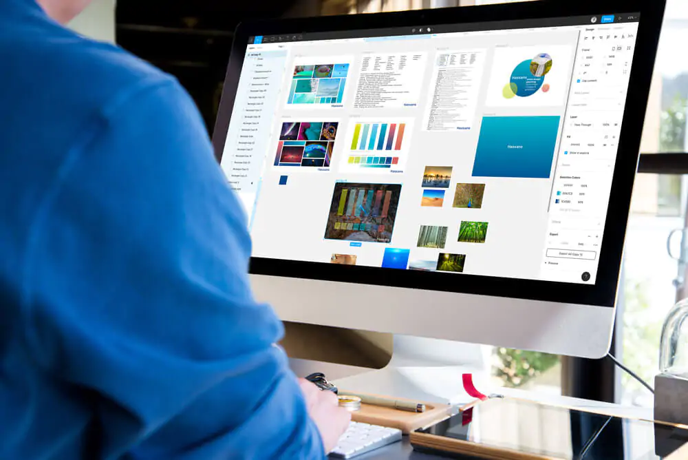 Website Design and Developement